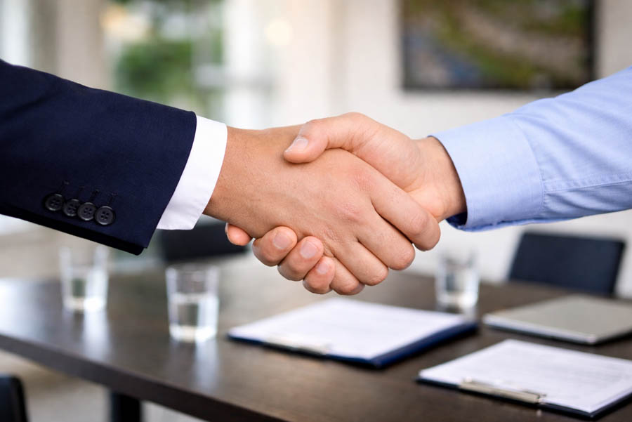 Legal professionals at work